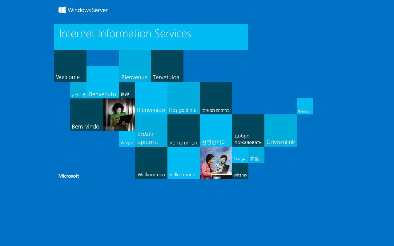 Wayne County inmate inquiry for recent arrests